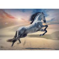 Головоломка Trefl R25K /47/48 (10790) 1000 A majestic horse