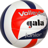 Мяч волейбольный №5 Gala Junior 5093 (3925)