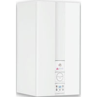 Газовый котёл Biasi RINNOVA COND PLUS 25S