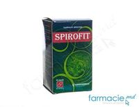 Spirofit caps.250mg N60 Eurofarmaco