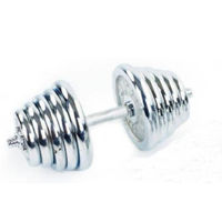 Гантель Arena металл наборные хром 2х20 кг 800440