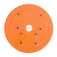 Спортивное оборудование inSPORTline 11537 Disc sanatate d=25 cm 483 magnetic (max 100kg)