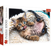 Головоломка Trefl 10448 Puzzle 1000 Cheerful kitten