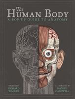 The Human Body: A Pop-Up Guide to Anatomy (Richard Walker)
