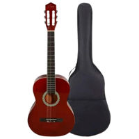 Chitară Enjoy G3901 4/4 CF set