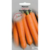 купить Семена  Морковь Нантская  2 гр DS в Кишинёве