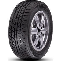 Шина RoadX 205/60 R16 RXFROST WH01 96H зима