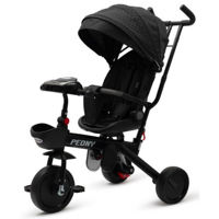 Bicicletă-cărucior Baby Mix 56314 Peony EVA Black