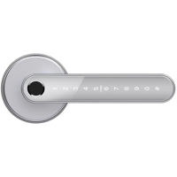 Умный дверной замок TTLock N31 Sliver без замка