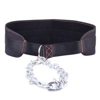 Пояс для тяжелой атлетики с цепью inSPORTline Chainbelt 13471 (134)