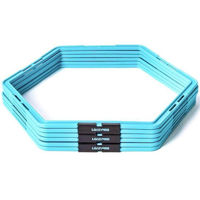 Спортивное оборудование LivePro LP8612/BU Agility Grid (6pcs)