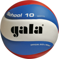 Minge volei №5 Gala School 10 5711 (1133)