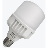 Лампочка Panlight PL-TLA20276