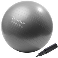 Мяч HMS 9477 Minge gimnastica d=75cm cu pompa Gray YB02 (17-42-179)