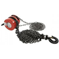 Palan mecanic Micul Fermier 2T 3m (GF-0451)