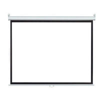 Экран для проекторов miscellaneous Manual Projection Screen CY-MS 100"(4:3), 203x152cm, Matte White