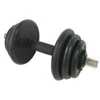 Гантель 4Play Power 2x10Kg