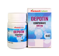 Depotin comp. 500mg N40 Depofarm