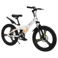 Bicicletă TyBike BK-09 20 White