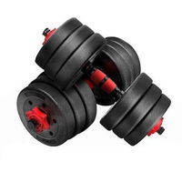 Гантель Arena цемент в пластике наборные 2х10 кг 8001520