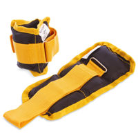 Greutăți pentru mâini și picioare miscellaneous 2000 Greutati miini 2*0.25 kg ZA-2072