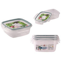 Контейнер для хранения пищи Snips 56542 Quadro 3buc, 0.5l
