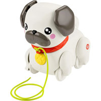 Игрушка Fisher Price HTW94 Игрушка Fisher Price