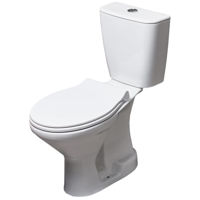 Унитаз Ege Vitrifye E14103 (fara mecanism) ERA, fara capac, evacuare verticala