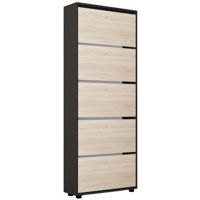 Raft pentru încălțăminte Mobildor-Lux Leo 100x27x203H cm Anthracite/Sonoma