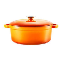 Cratiță Voeux Kitchenware ST-184 Cratiță din fontă 20cm, 2.5, Amusant, portocaliu