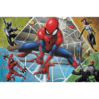 Головоломка Trefl R25C /39/40 (23005) 300 Spiderman