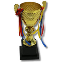 Спортивное оборудование miscellaneous 6528 Cupa Sport metal Gold 24 cm 243-1236