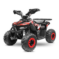 ATV pe benzină Andes Viper 110cc