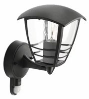 Светильник уличный Philips PH153883016 CREEK 60 Вт