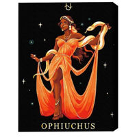 Tablou pe numere BrushMe BSB0045FC (fără cutie) Ophiuchus