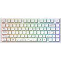 Игровая клавиатура Dark Project ALU Terra Nova White - Wireless