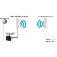 купить TOTOLINK CP300 300Mbps 2.4G Wireless exetrior AP/Client в Кишинёве 