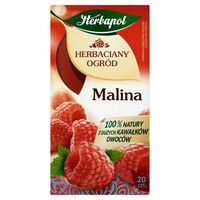 Чай фруктовый Tea Garden Raspberry, 20 шт