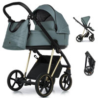 Сărucior pentru copii Roan Ivi 2.0 Pine Green (Gold, Black Handle)