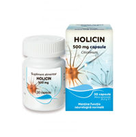 Holicin caps. 500mg N30(Vitapharm)