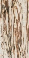 Wanderlust / Calacatta Copper WA 01 PRL - 120 x 278 cm