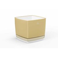 cumpără 2440Boxă din 2 straturi pentru flori150F5 în Chișinău