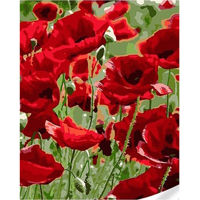 Картина по номерам Strateg R 8 /17 (SS1084)(75084) 30x40 cm