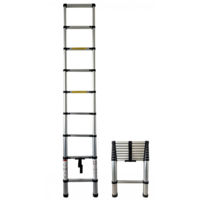 Лестница miscellaneous 26322 telescopic 2.6m (6.3 kg)