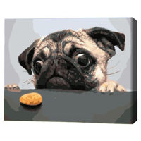 Tablou pe numere BrushMe BS8765FC 40x50cm (fără cutie) Mopsul