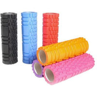 Валик для массажа sport DSH060109 Rola de masaj pentru yoga (plastic)