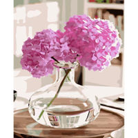 Tablou pe numere Strateg VA-3595 Gortenzii in vasa 40x50