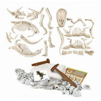Настольная игра As Kids 1026-50749 T-Rex Fluo & Triceraptor Fluo Stiinta & Joaca