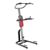 Силовой комплекс inSPORTline 176 Aparat Power Tower (130 kg) 3948