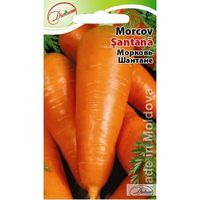 купить Семена Морковь Шантане 2 г  DS в Кишинёве